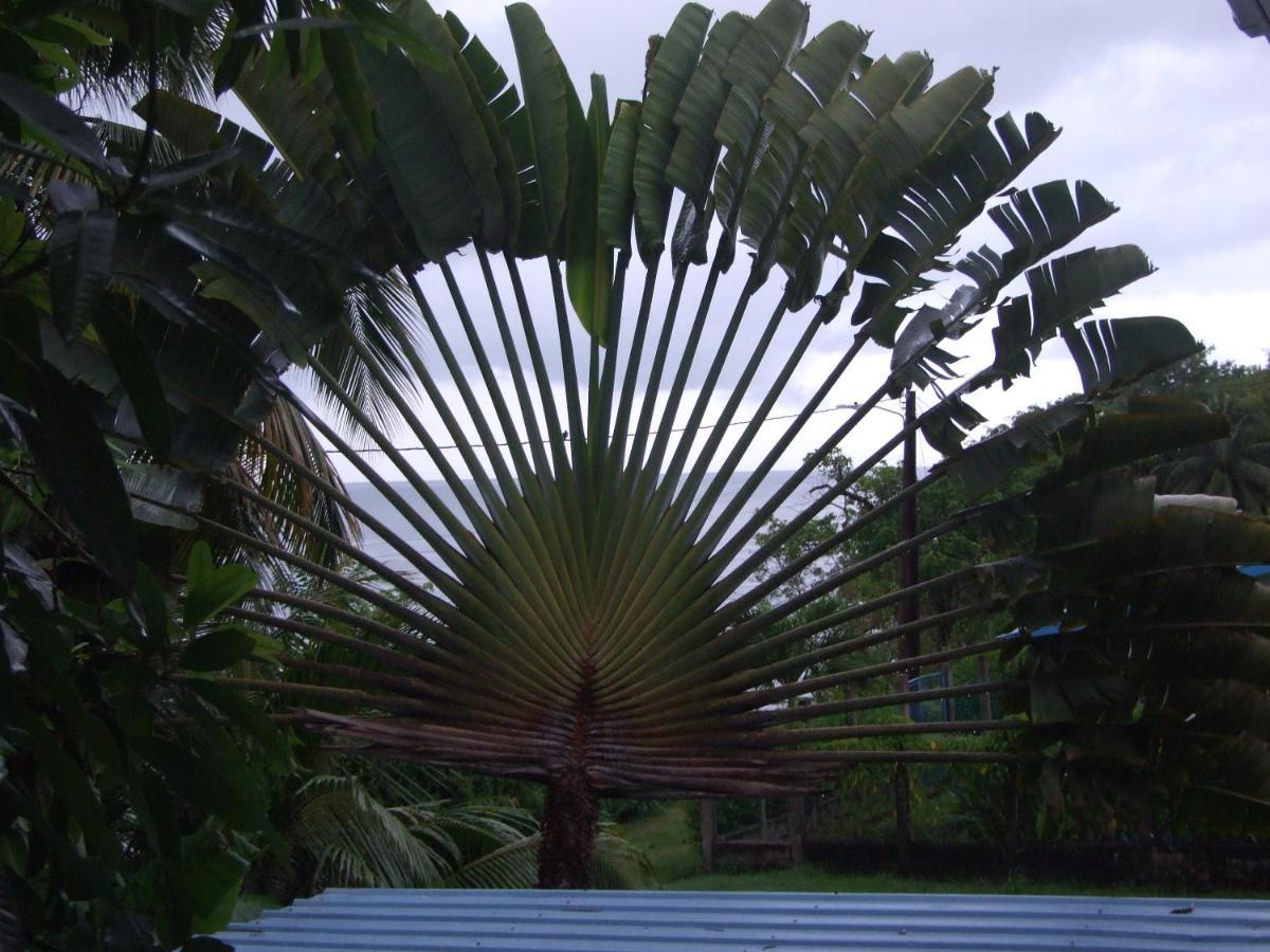 BlueBelize B&B Punta Gorda Exterior foto
